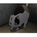 帰ってきてやること