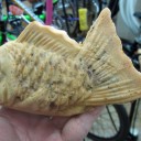 天然モノ（？）の鯛焼き
