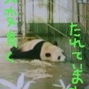 2010/7/11　生存競争はかくも激しく