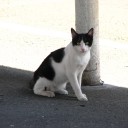 金曜〓暑さとアニメと〓
