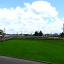 土曜〓雨と電話と〓