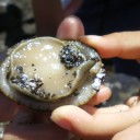 神奈川（三浦）の海で