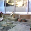 忙しいほど