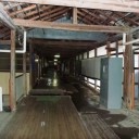 今日から福岡