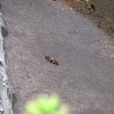 金曜〓郵便と本と〓