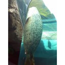 最終日は旭川。
