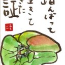 掲示板より