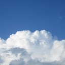 今日のひと言
