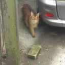 犯人の写メをGET