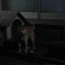 ☆天照さん☆