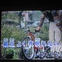 昨日も