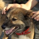 火曜〓慌ただしさと忙しさと〓