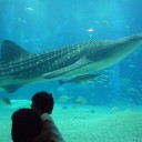 サンタマリア号と海遊館