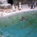 水族館にて