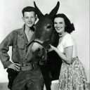 Francis : The Talking Mule