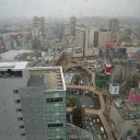 仙台出張