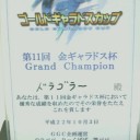 2010/10/3　第11回金ギャラドス杯レポ-今日から一ヶ月は総帥ではなく皇帝です(笑)-