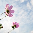 月曜〓えびのと生駒と〓