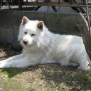 まっくぃーん、オムツをする