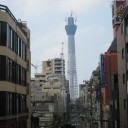 スカイツリー成長中