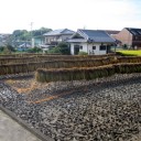 稲刈り