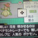 【ポケモン】花飾りポケモンは電気鼠の夢を見るか？・・・ってピカチュウいねーよ！