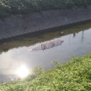 川沿いを走る