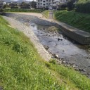 川沿いを走る