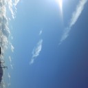 有休