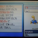 サイン当たらなかった(´;ω;`)