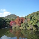 甲山森林公園