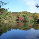 甲山森林公園