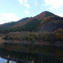 紅葉を観てきました。
