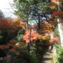紅葉の京都・南山城