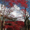 紅葉の京都・南山城