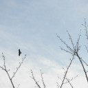 月曜〓本棚と本と〓