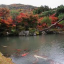 Photo52 「 紅葉 」