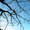 土曜〓下見と写真と〓