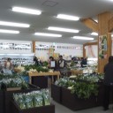 ハーベストの丘の野菜直売所