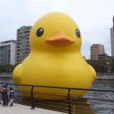 2010/12/26 さぁ年の瀬も押し迫ってまいりました！