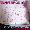 ★驚きの抽選結果★