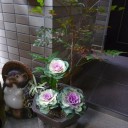 正月休み２日目