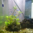 正月休み２日目