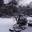 初雪！