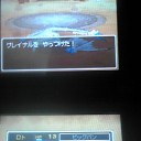 ≪世界記録≫グレイナル撃破：パラディンLv1×1