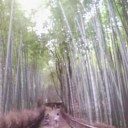 信じて歩いて良いのかしらん