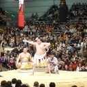 大相撲３月場所はどうなるのか心配