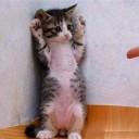 すまん、これも暇つぶしなんでな