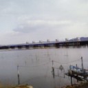 海が見たくなったので