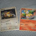 カモネギとドンメル